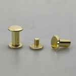 Nity skręcane śruba do paska 10 mm złoty 10 sztuk